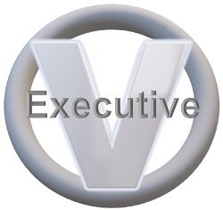 Virtual Executive
